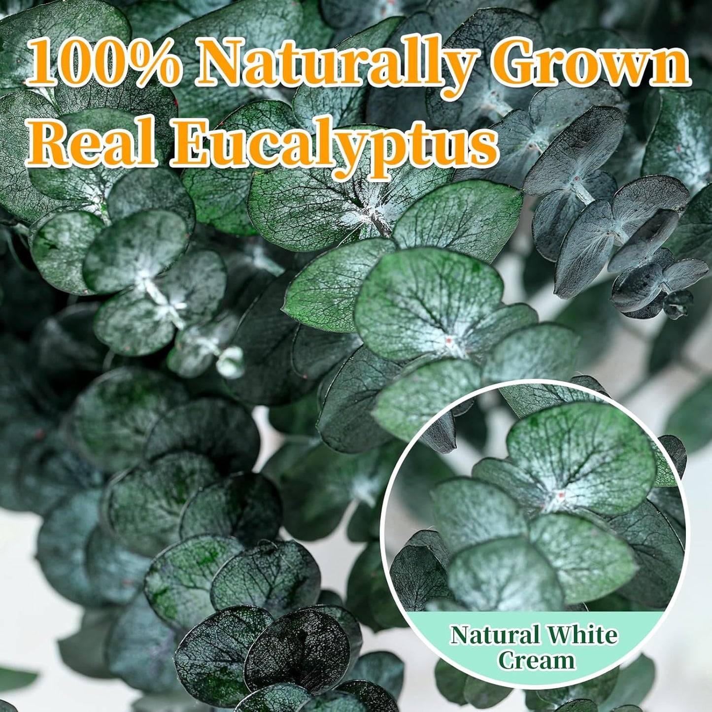 Eslibin 21 Pcs Real Dried Eucalyptus Stems, 17" Natural Fresh Eucalyptus Branches for Shower, Greenery Leaves for Vase Filler, Fragrance, Fresh Silk Dry Live Plants Decor
