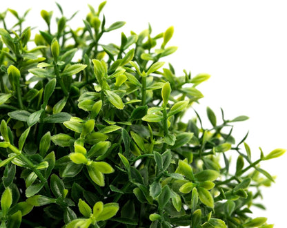 Velener Mini Sage Green Potted Boxwood Topiary Artificial Plants for Home Decor Indoor, Farmhouse House Plant Office Small Desk Shelf Apartment Coffee Bar Bathroom Decor Guest Room, Small Fake Plant