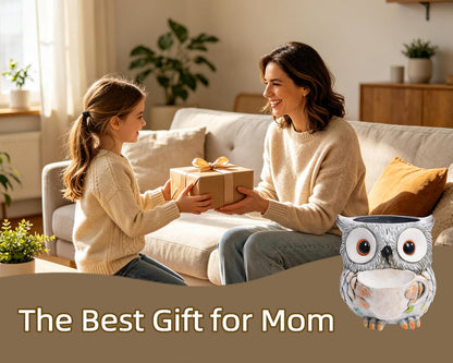 Saysmile Unique Owl Plant Pots Indoor, Cute Small Succulent Pots with Drainage Hole, Rocking Chair Planters for Outdoor Indoor Plants, Resin Flower Pot for String of Pearls, Gift Ideas for Mother