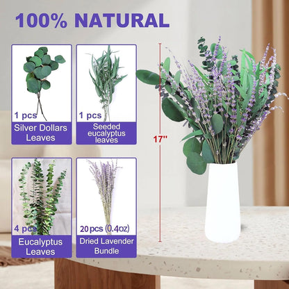 52 PCS Mix Dried Eucalyptus & Lavender Flowers Bundles for Shower, 17'' Natural Real Hanging Silver Dollar Eucalyptus Leaves Stems, Fragrance Fresh Plants Home Bathroom Decor (52pcs)