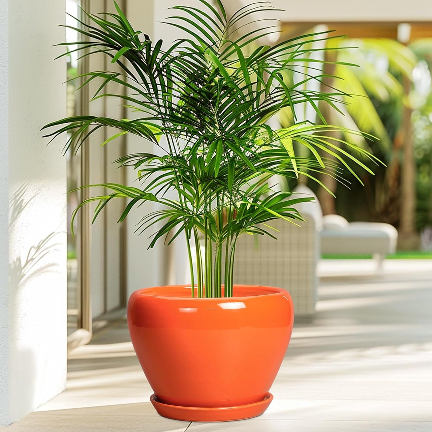 Ceramic Modern Glaze Succulent Planter Pot with Drainage Hole and Saucer 6 Inch Round Flower Plant Pot for Indoor Outdoor Herb Snake Plants