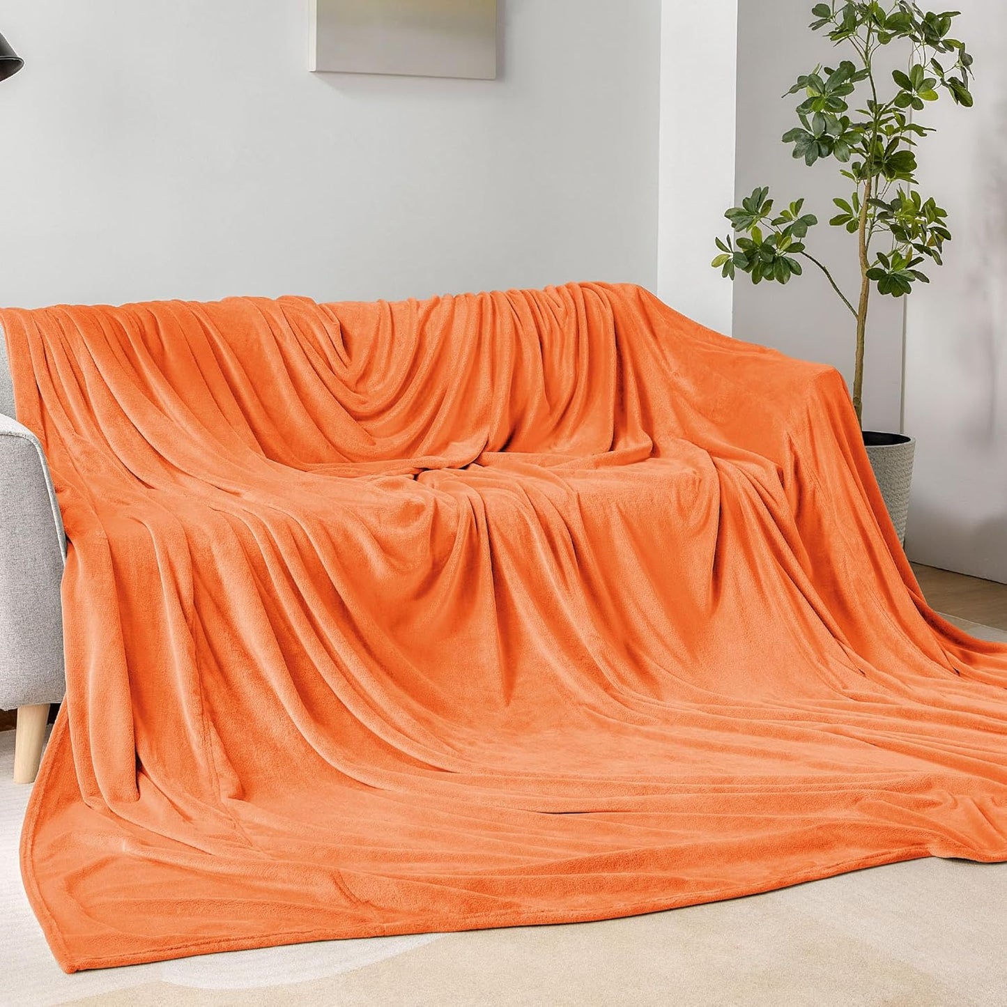 BEDELITE Fleece Blanket Black Throw Blankets for Couch & Bed, Luxury Plush Cozy Fuzzy Blanket 50x60 inches, Super Soft Warm Lightweight Throw Blanket for Travel Camping - Colors B