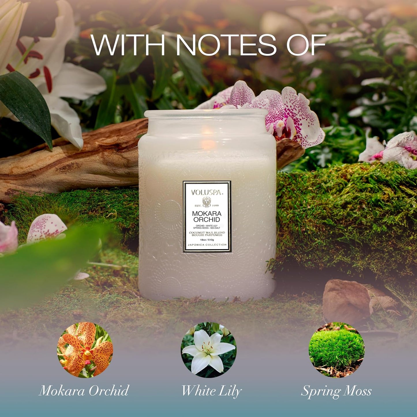 Voluspa Baltic Amber Candle, 18 oz, Coconut Wax Blend, Scented Candles for Home, 100 Hour Burn Time, Candle Jar