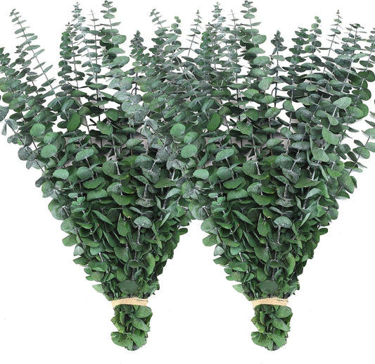 40 Pcs Dried Eucalyptus Stems for Shower, 17'' Natural Real Live Eucalyptus Leaves Branches Hanging Shower Plant for SPA Home Fragrance Bathroom Table Vase Decor