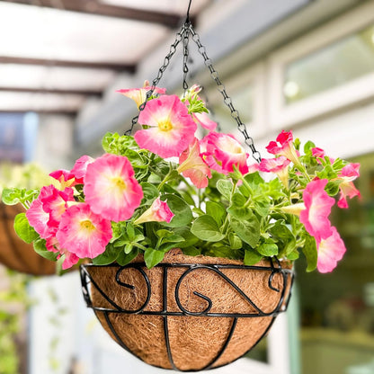 LaLaGreen Hanging Planter for Outdoor Plants (12 Inch, 2 Pack) Hanging Baskets with Coco Liner, Black Metal Wire Flower Basket Pots with Hook Hanger Balcony Porch Farmhouse Country Style Garden Decor