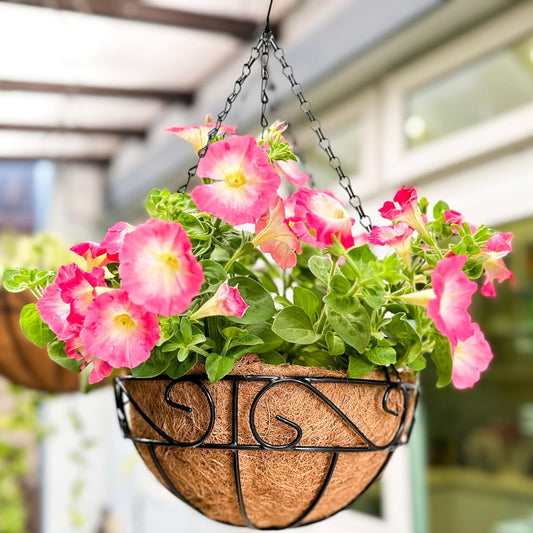 LaLaGreen Hanging Planter for Outdoor Plants (12 Inch, 2 Pack) Hanging Baskets with Coco Liner, Black Metal Wire Flower Basket Pots with Hook Hanger Balcony Porch Farmhouse Country Style Garden Decor