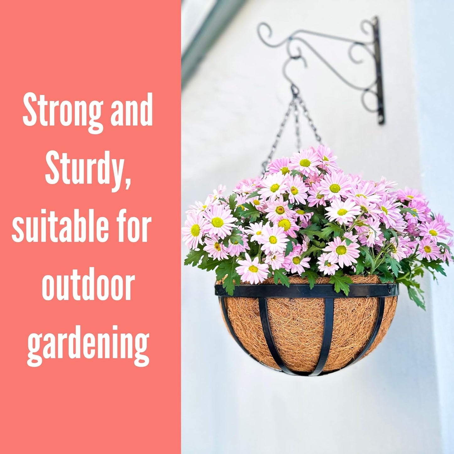 LaLaGreen Outdoor Hanging Baskets for Plants (12 Inch, 6 Pack) Medium Hanging Planter with Coco Liner, Flat Iron Metal Round Plant Flower Pots for Deck Patio Porch Garden Balcony Outside Decoration
