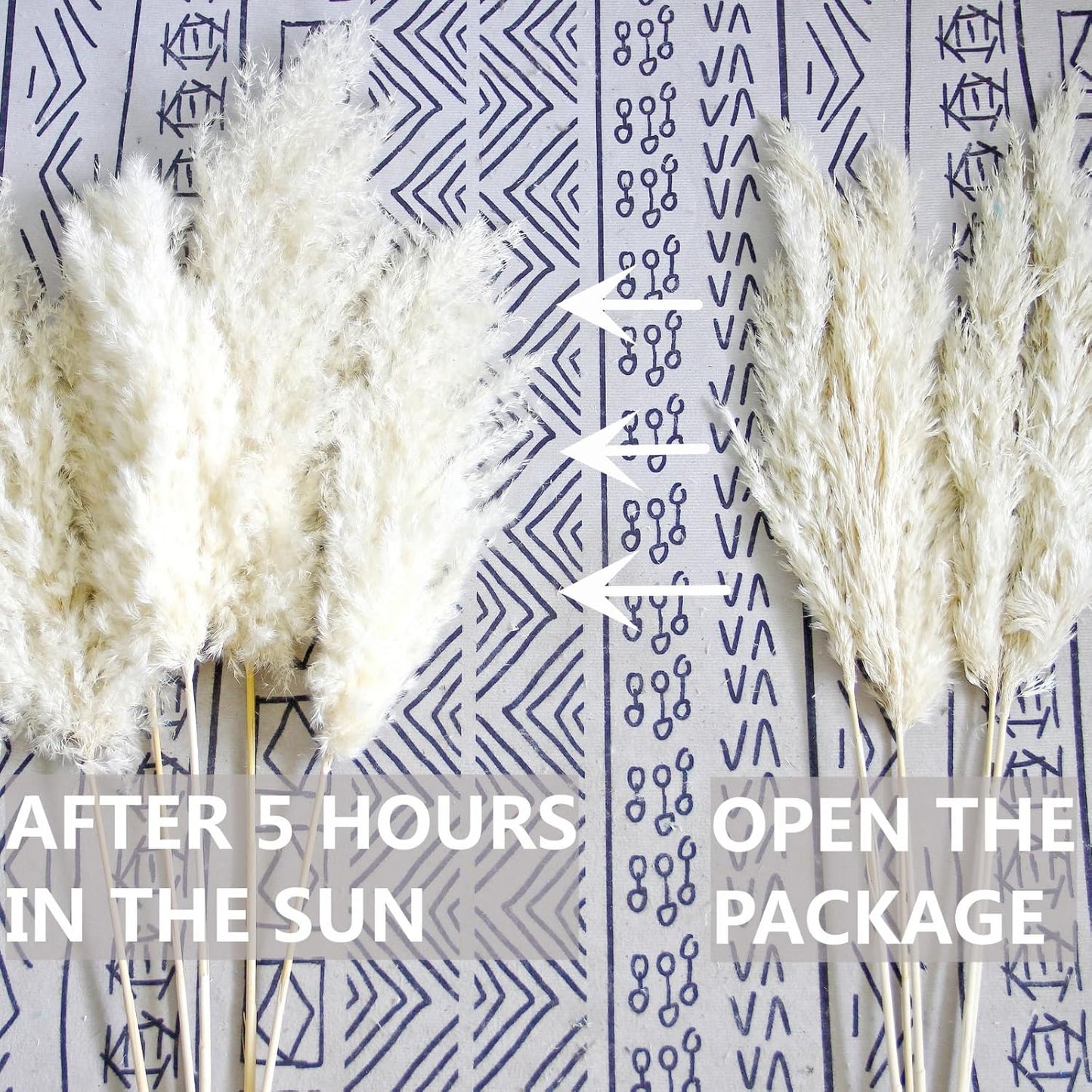 Pampas Grass Decor, Natural Dry Pampas Grass Small, Short Pampass Bulk for Farmhouse, Wall, Kitchen, Bedroom Decor, Office Decor (17 inch )