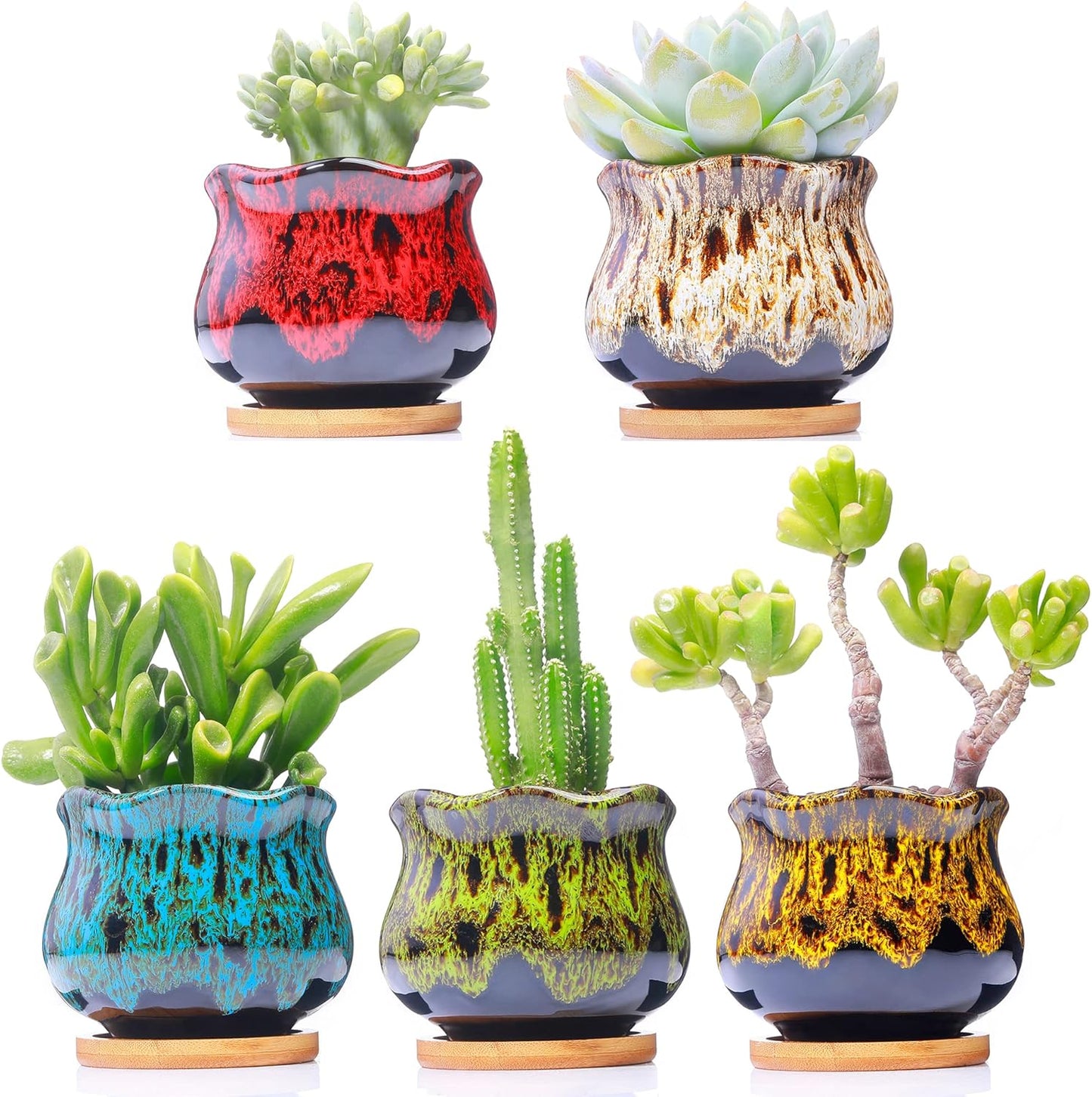 Cute Ceramic Succulent Garden Pots, Planter with Drainage and Attached Saucer, Set of 5 -Plants Not Included (Round)