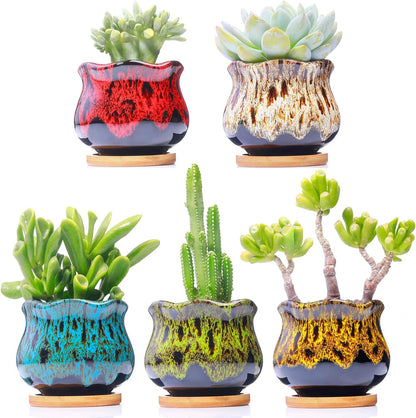 Cute Ceramic Succulent Garden Pots, Planter with Drainage and Attached Saucer, Set of 5 -Plants Not Included (Round)