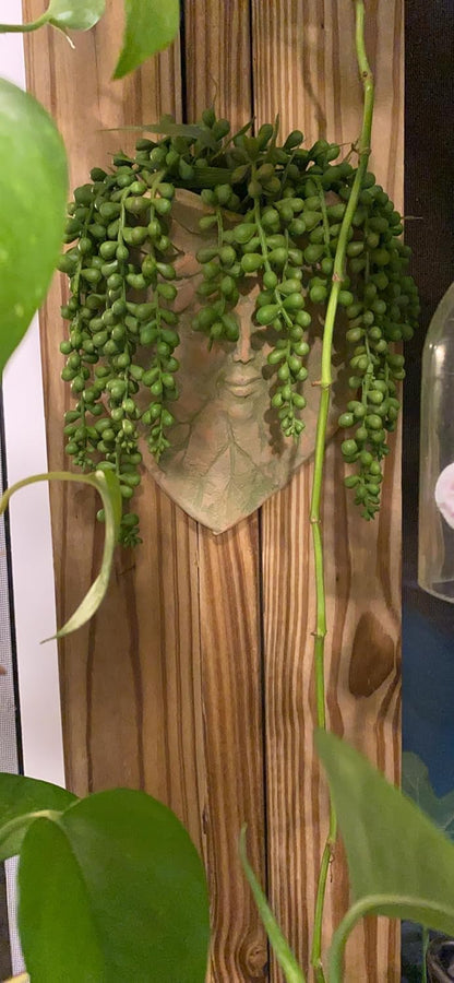 RECUTMS 6pcs Artificial Succulents Hanging Plants Fake Hanging String of Pearls Plant Faux Greenery Wall Plants for Spring Indoor Outdoor Home Bedroom Patio Garden Easter Decor
