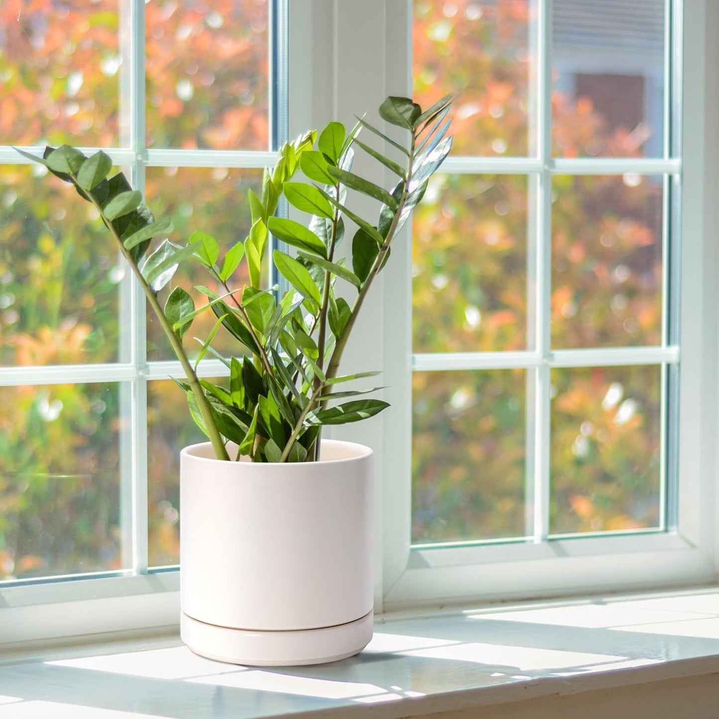 D'vine Dev Set of 2 Plants Pots, 6.5 Inch Ceramic Planter Pot for Plants with Drainage Hole and Saucer, White, 94-V-C-1