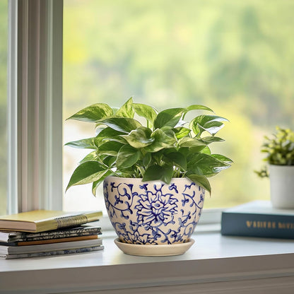 6 Inch Plant Pot - Ceramic Pots for Plants with Drainage Hole and Saucer, Round Succulent Planter Indoor Outdoor, Modern Flower Pot for Snake Plants, Home Decor, Gifts for Plant Lover, Blue