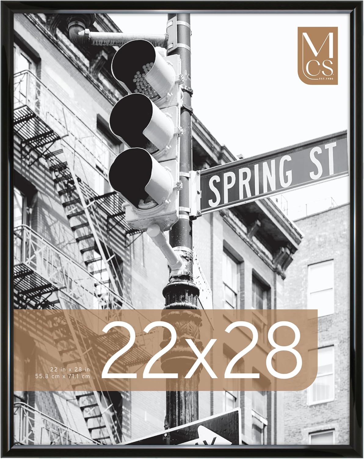 MCS Trendsetter 24x36 Poster Frame Black High-Gloss, Vertical & Horizontal Wall Hanging Large Picture Frame for Photos, Posters & Art Prints (1-Pack)