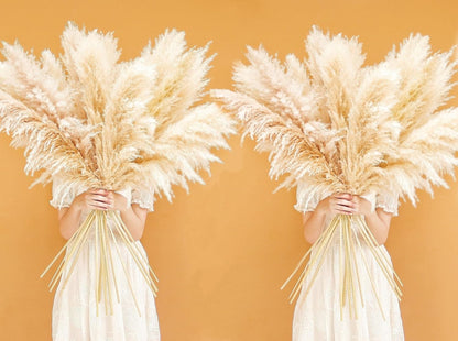 46" inch 10 Stems Natural Pampas Grass Decor Tall, Pompas Grass, Tall Pampas Grass for Weddingm, Farmhouse, Boho Home Decor (Beige)