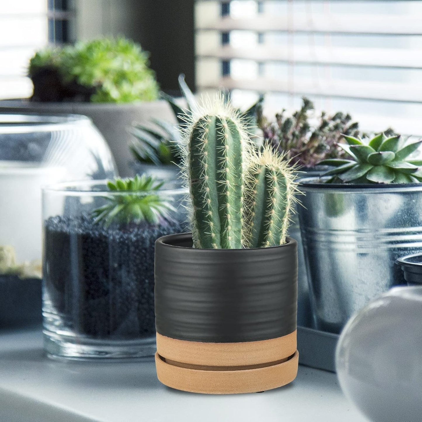 HERDUK 6 Inch Plant Pots, Ceramic Planter Pot with Drainage Hole & Saucer, Indoor/Outdoor Cylinder Round Planter Pot, Green & Beige