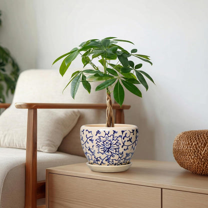 6 Inch Plant Pot - Ceramic Pots for Plants with Drainage Hole and Saucer, Round Succulent Planter Indoor Outdoor, Modern Flower Pot for Snake Plants, Home Decor, Gifts for Plant Lover, Blue