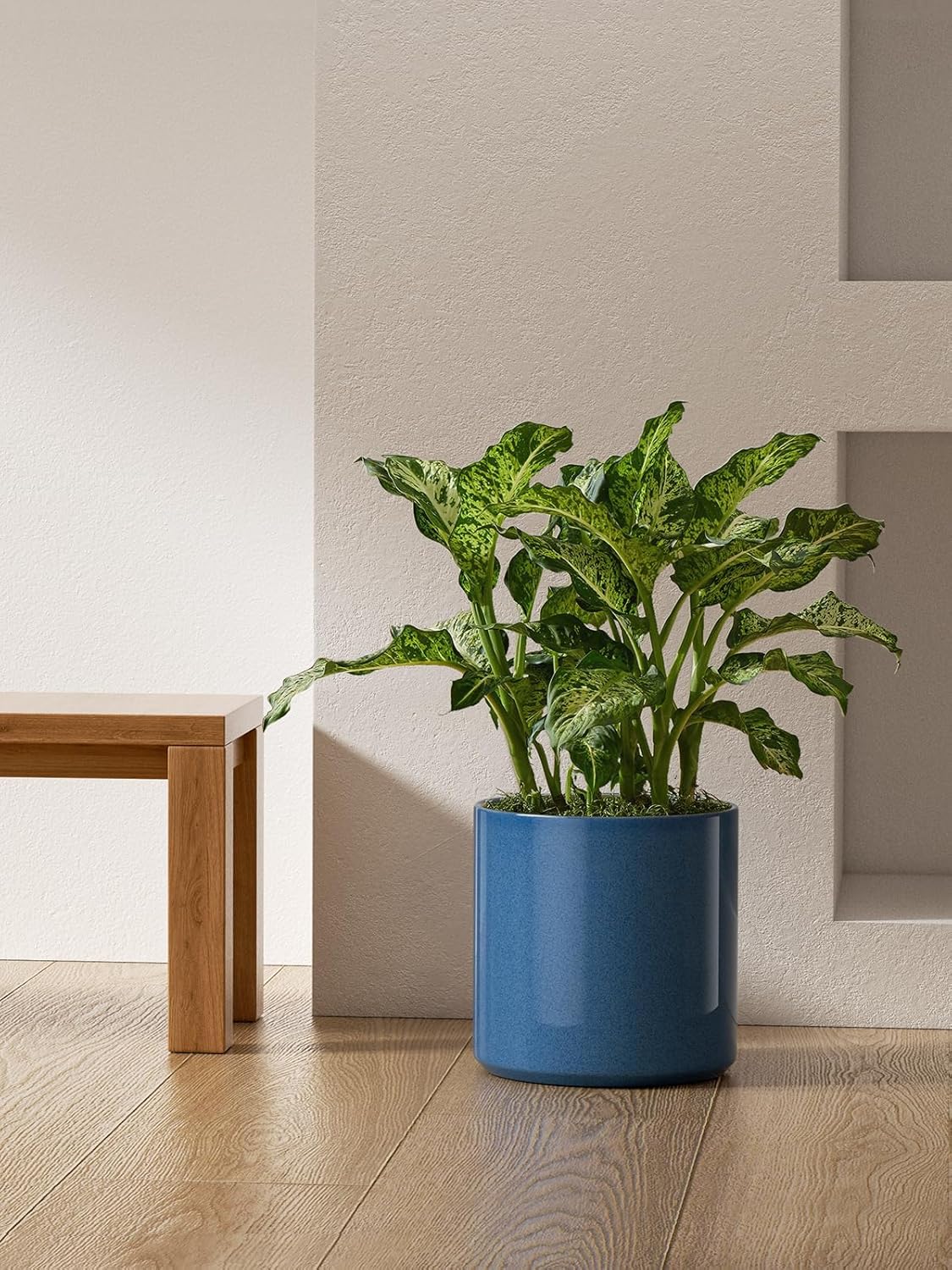 LE TAUCI 12 Inch Pot for Plants, Ceramic Planters for Indoor Plants, Mid-Century Modern Cylinder Flower Pots with Drainage Hole, Fits Fiddle Leaf Fig & Monstera, Home Decor, White