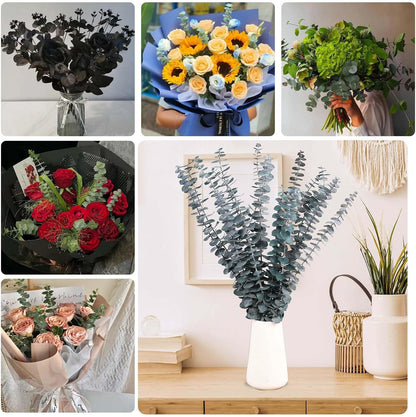 Tavkite 16 Pcs Dried Eucalyptus Stems, 17'' Natural Fresh Eucalyptus Leaves Branches Hanging for Shower, Preserved Real Plant Live Greenery for Home SPA Wall Bathroom Wedding Party Vase Decor