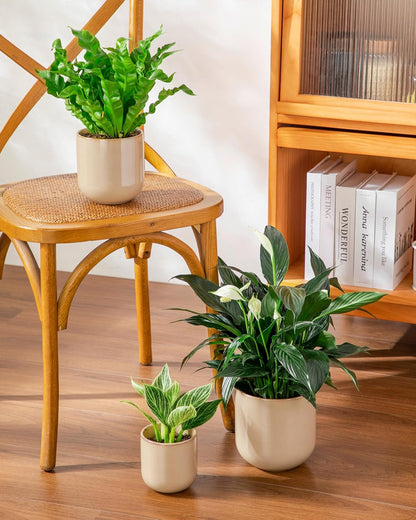 vancasso Ceramic Plant Pots, 4+5+6 inches, Set of 3, Planters with Drainage Hole, Flower Pots Planters Pots for Indoor Plants, Modern Indoor Decorative Garden Pot, Home Decor, White
