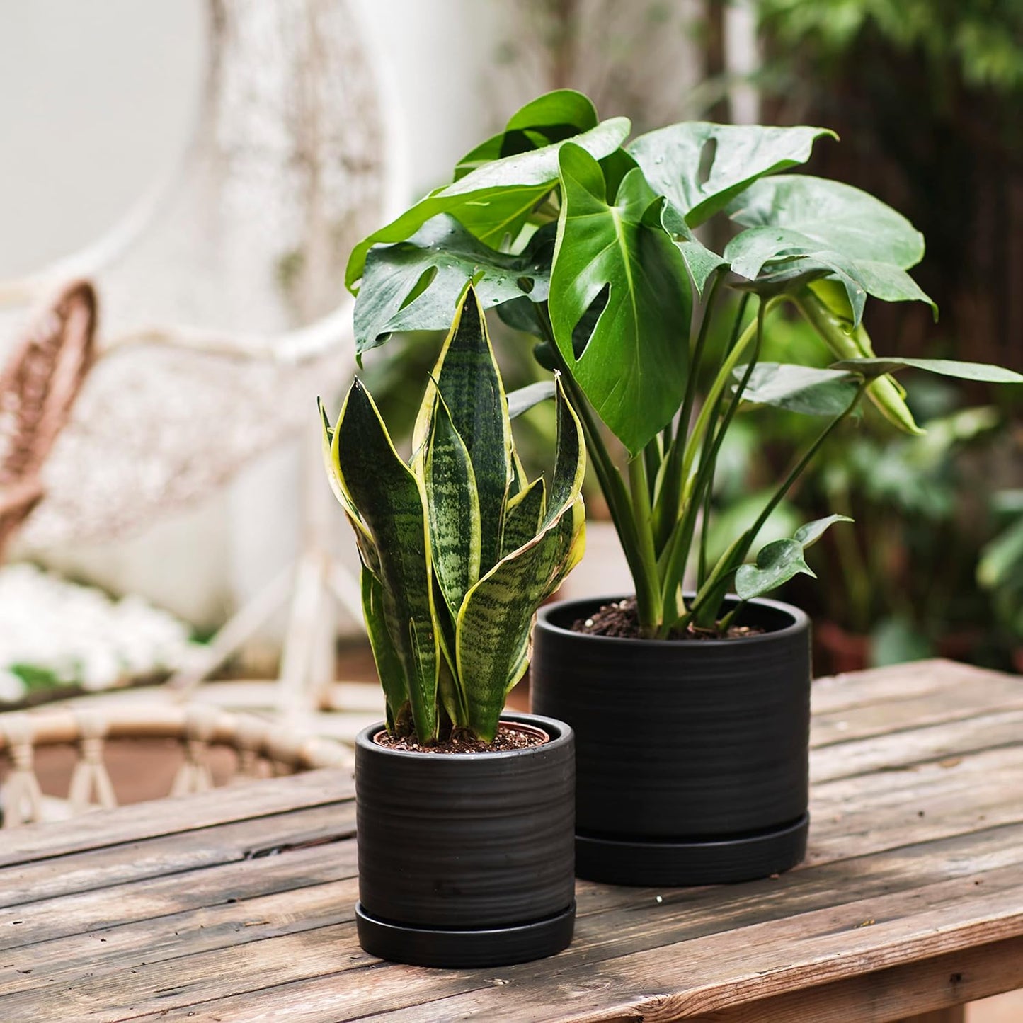 HERDUK 6 Inch Plant Pots, Ceramic Planter Pot with Drainage Hole & Saucer, Indoor/Outdoor Cylinder Round Planter Pot, Green & Beige