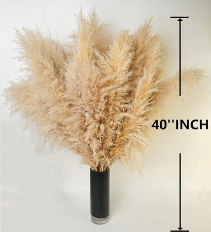 65PCS Pampas Grass Decor, Including pompas Floral, Reed Dried Grass and Bunny Tails Dried Flowers, Natural Dried Pampas Grass Bouquet for Boho Decor Wedding, Home Decoration