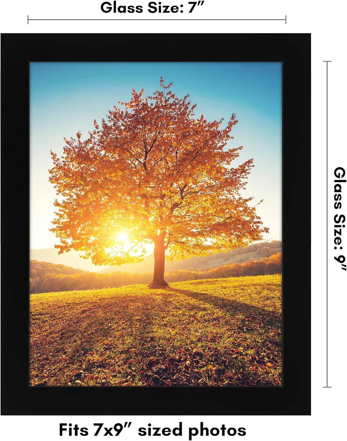 Americanflat 12x18 Poster Frame with Shatter-Resistant Glass - Signature Collection - Gallery-Style Frames Made of Engineered Wood - Photo Frame for Wall Display - Black - Colors C