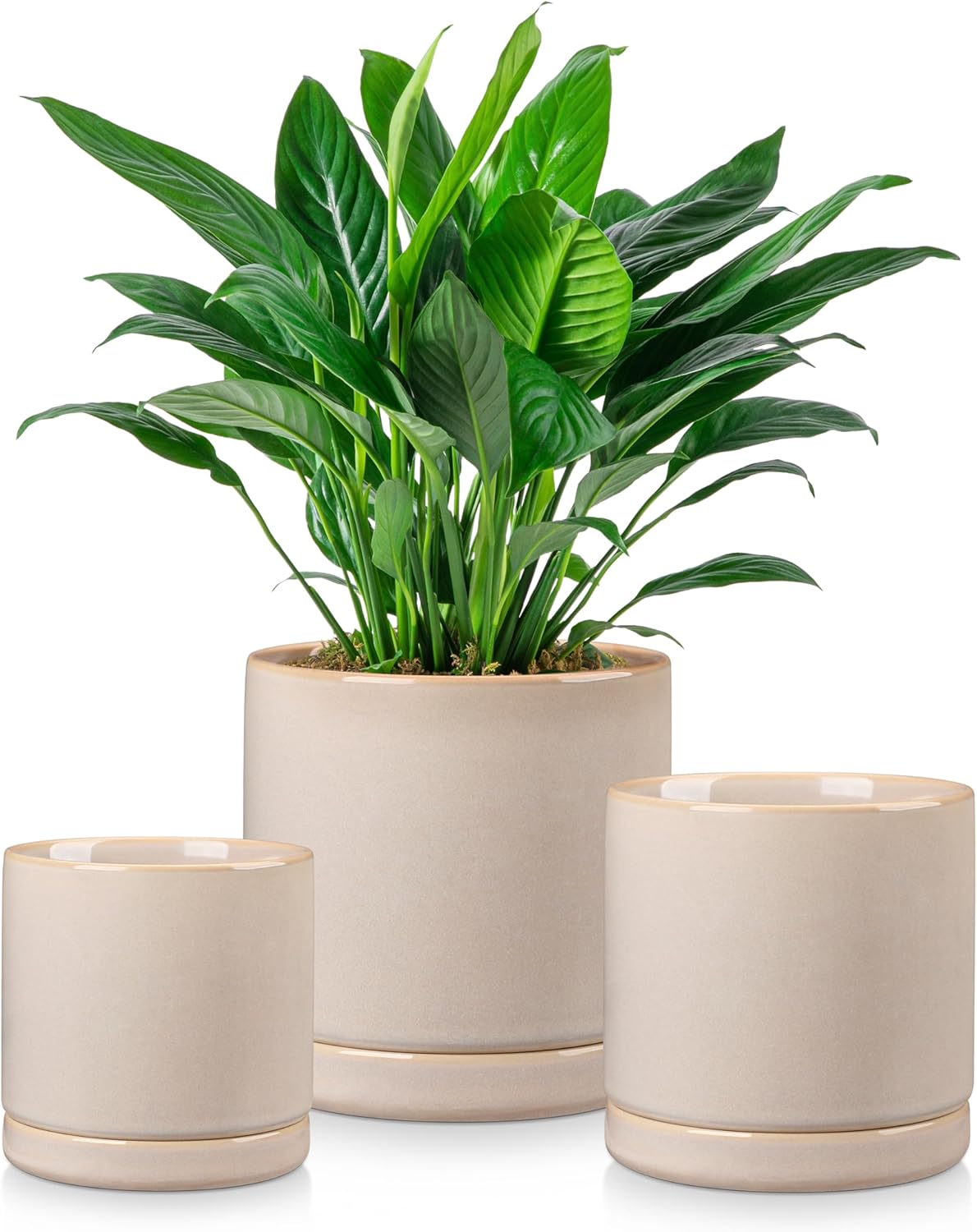 vancasso Ceramic Plant Pots, 3 Piece Planters for Indoor Plants, 4.25+5.25+6.25 Inch Flower Pots with Drainage, Plant Pots Indoor for Succulent, Pothos, Snake Plant and Money Tree, Etc (White)