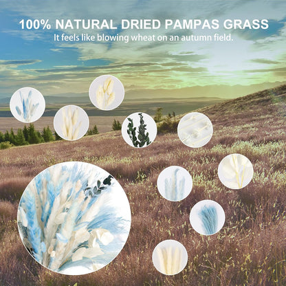 N&T NETING Dried Pampas Grass Decor- White Pampas Grass, Brown Pampas, Bunny Tail, Reed, Fluffy Dried Pompas Grass Flower for Home Wedding Table Vase Boho Modern Decor, 75Pcs