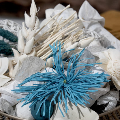 ANDALUCA Maison Box Fragrance Potpourri Decorative Vase & Bowl Filler Home Décor (Coconut Sandalwood)
