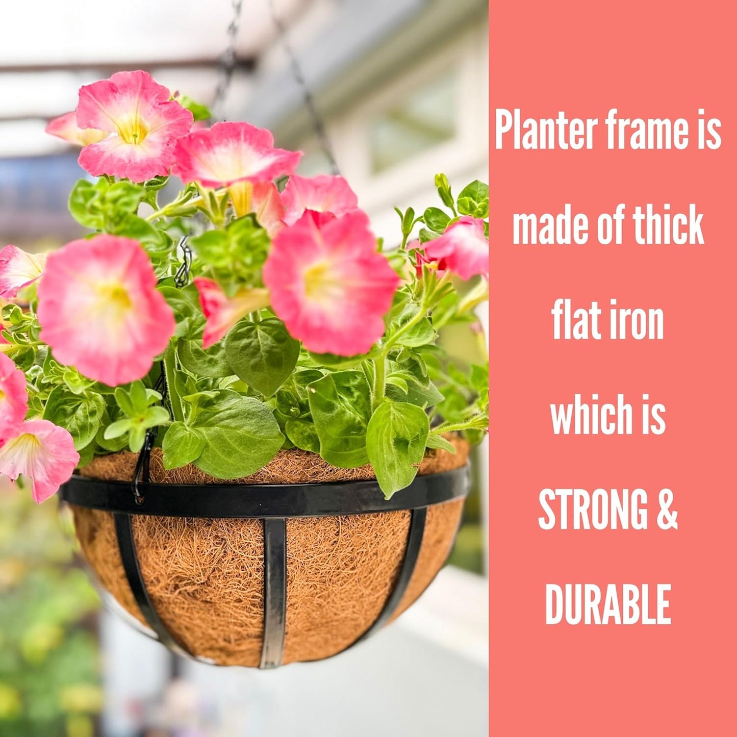LaLaGreen Outdoor Hanging Baskets for Plants (12 Inch, 6 Pack) Medium Hanging Planter with Coco Liner, Flat Iron Metal Round Plant Flower Pots for Deck Patio Porch Garden Balcony Outside Decoration