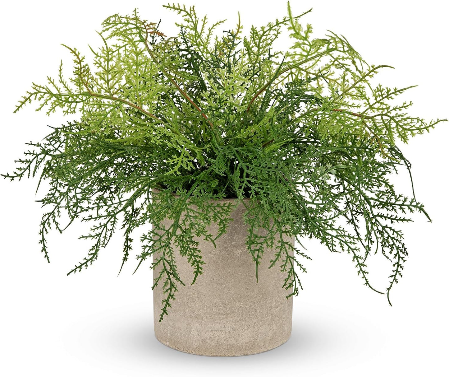 Briful Small Fake Plant Potted Plants Artificial Decor Plastic Asparagus Ferns Plant Faux Plants in Pots for Home Living Room Bedroom Desk Shelf Farmhouse Decoration