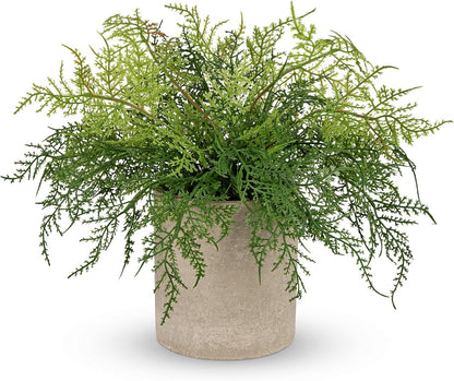 Briful Small Fake Plant Potted Plants Artificial Decor Plastic Asparagus Ferns Plant Faux Plants in Pots for Home Living Room Bedroom Desk Shelf Farmhouse Decoration