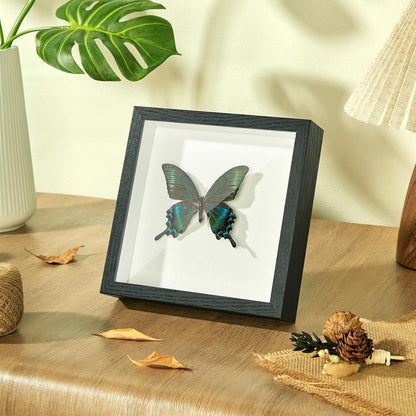 11x14 Shadow Box Display Case Picture Frame with Soft Linen Back, Large Deep Black Shadow Box 11x14 for Flowers Medal Display Case Jersey pet Graduation Memorabilia Baby Ltems Crafts Photos