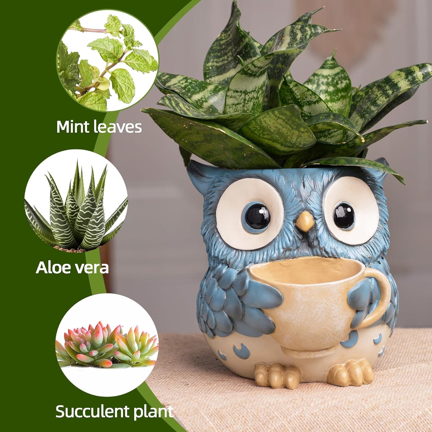 Saysmile Unique Owl Plant Pots Indoor, Cute Small Succulent Pots with Drainage Hole, Rocking Chair Planters for Outdoor Indoor Plants, Resin Flower Pot for String of Pearls, Gift Ideas for Mother