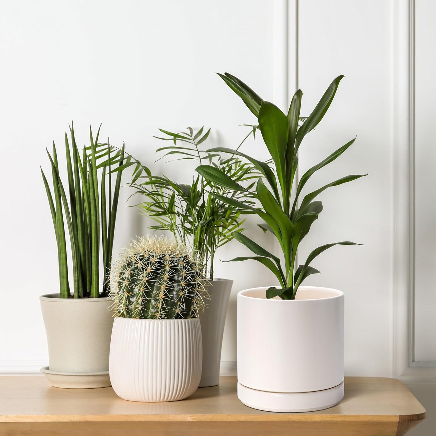 D'vine Dev Set of 2 Plants Pots, 6.5 Inch Ceramic Planter Pot for Plants with Drainage Hole and Saucer, White, 94-V-C-1