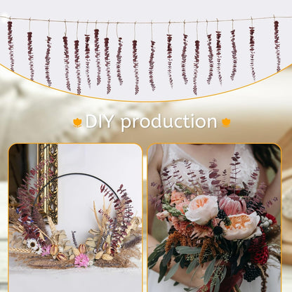 Real Eucalyptus Stems 20PCS Dried Preserved Fresh Eucalyptus Silver Dollar Leaves for Shower - Greenery Branches for Wedding Home Party Vase Filler Spring Decor