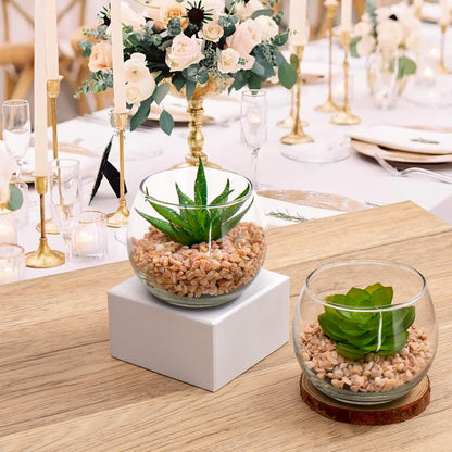 Briful Mini Fake Plants 4 Packs Succuletns Artificial Potted Plants in Cube Glass Vase Faux Succulents for Bathroom Living Room Kitchen Shelf Table Decor