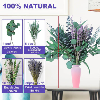 52 PCS Mix Dried Eucalyptus & Lavender Flowers Bundles for Shower, 17'' Natural Real Hanging Silver Dollar Eucalyptus Leaves Stems, Fragrance Fresh Plants Home Bathroom Decor (52pcs)