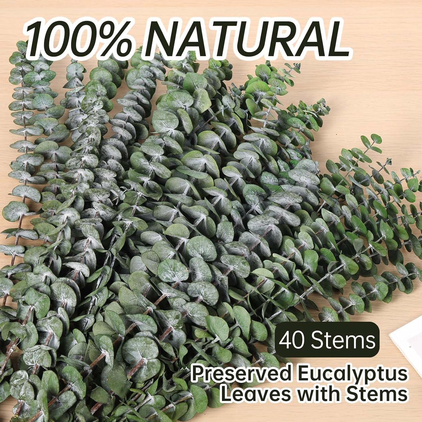40 Pcs Dried Eucalyptus Stems for Shower, 17'' Natural Real Live Eucalyptus Leaves Branches Hanging Shower Plant for SPA Home Fragrance Bathroom Table Vase Decor