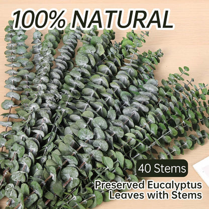 40 Pcs Dried Eucalyptus Stems for Shower, 17'' Natural Real Live Eucalyptus Leaves Branches Hanging Shower Plant for SPA Home Fragrance Bathroom Table Vase Decor