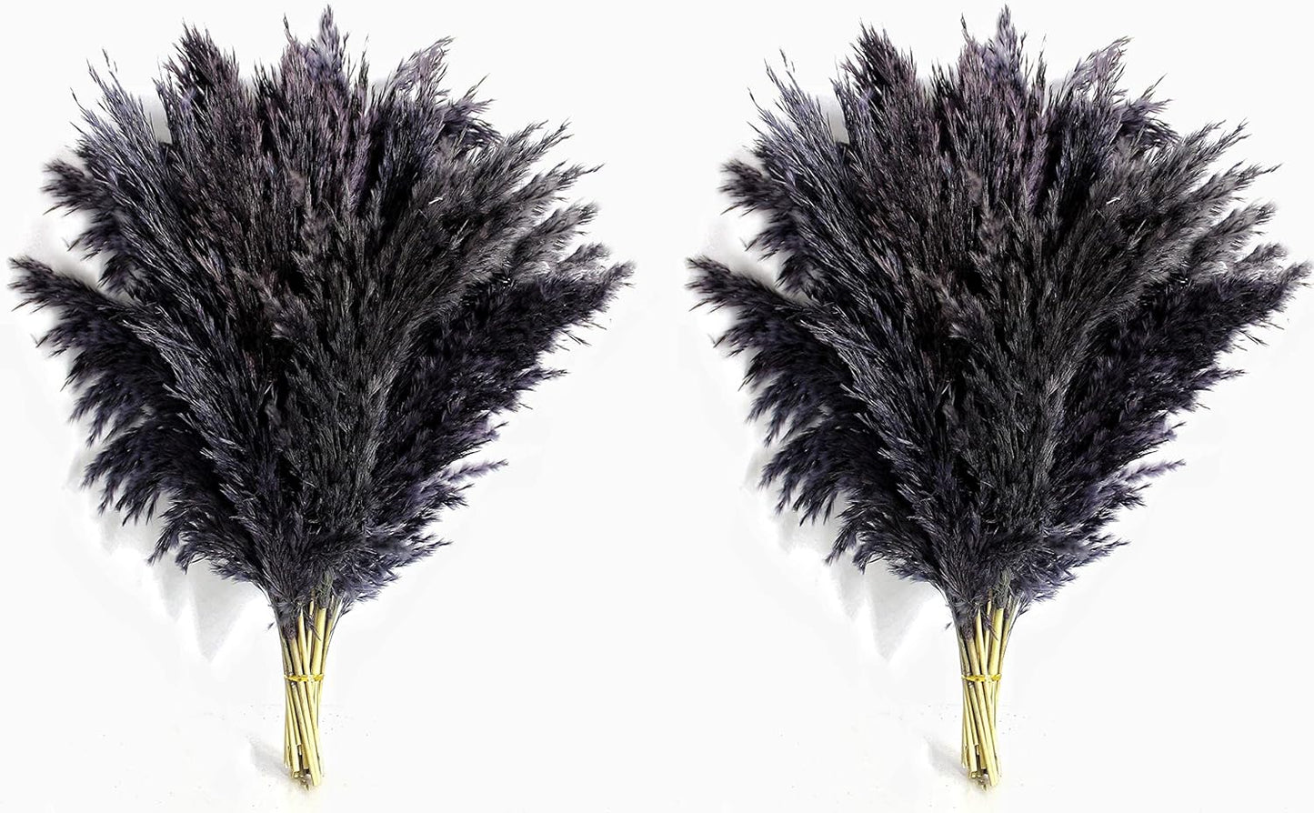 Pampas Grass Decor, Natural Dry Pampas Grass Small, Short Pampass Bulk for Farmhouse, Wall, Kitchen, Bedroom Decor, Office Decor (17 inch )