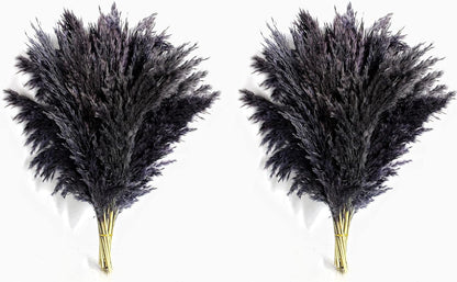 Pampas Grass Decor, Natural Dry Pampas Grass Small, Short Pampass Bulk for Farmhouse, Wall, Kitchen, Bedroom Decor, Office Decor (17 inch )