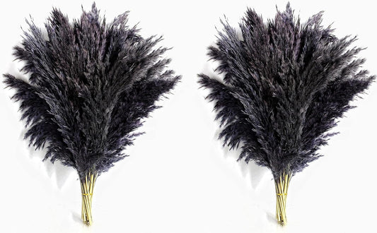 Pampas Grass Decor, Natural Dry Pampas Grass Small, Short Pampass Bulk for Farmhouse, Wall, Kitchen, Bedroom Decor, Office Decor (17 inch )