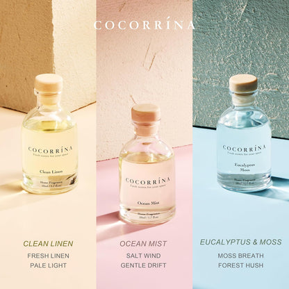 COCORRÍNA Eucalyptus Reed Diffuser Set of 3 - Lavender Eucalyptus, Black Forest, Clean Cotton Scents, 1.7 fl oz Each, Total 5.1 oz, Scented Oil Diffusers for Home & Office﻿