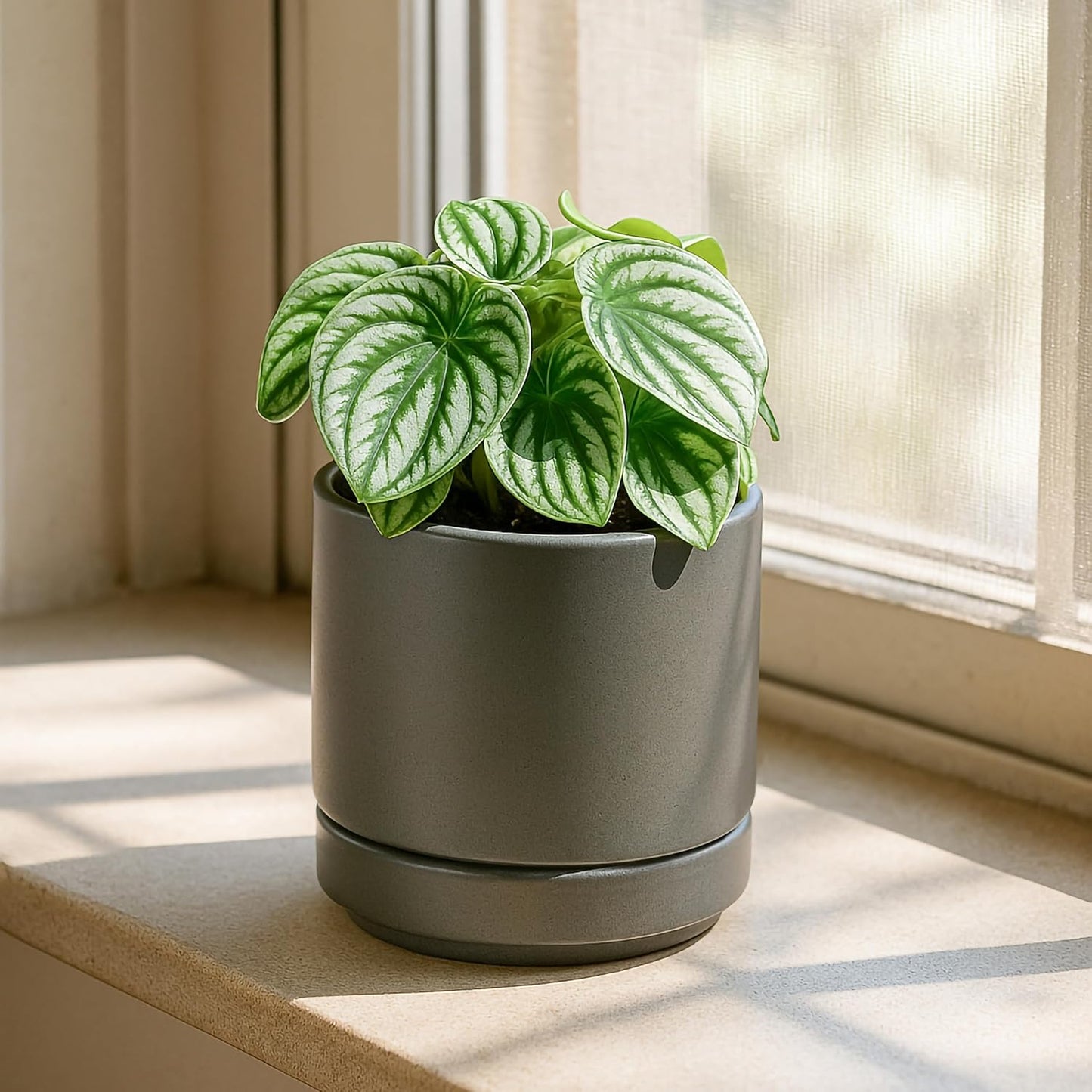 D'vine Dev Set of 2 Plants Pots, 6.5 Inch Ceramic Planter Pot for Plants with Drainage Hole and Saucer, White, 94-V-C-1