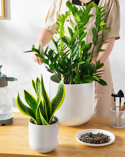 vancasso Ceramic Plant Pots, 4+5+6 inches, Set of 3, Planters with Drainage Hole, Flower Pots Planters Pots for Indoor Plants, Modern Indoor Decorative Garden Pot, Home Decor, White