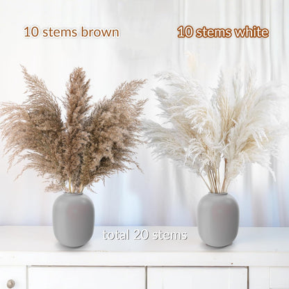 Pampas Grass Decor, Natural Dry Pampas Grass Small, Short Pampass Bulk for Farmhouse, Wall, Kitchen, Bedroom Decor, Office Decor (17 inch )
