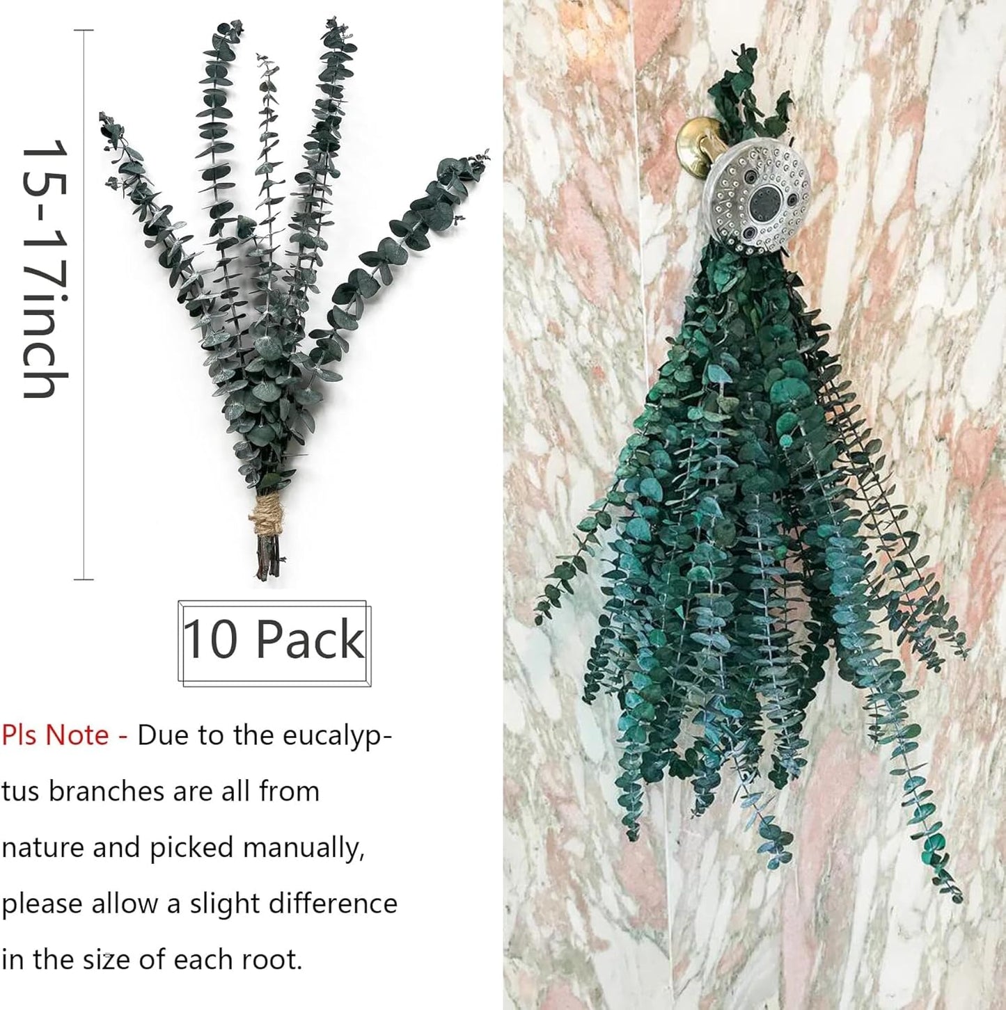 Eucalyptus for Shower 10 Pcs Hanging Dried Eucalyptu Stems 17" Real Eucalyptus Bundle 100% Made from Fresh Eucalyptu Wedding Decor Home Decor Farmhouse Room Decor DIY Artificial Plants Flowers