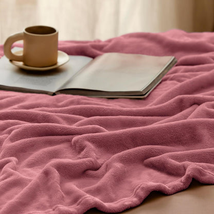 Bedsure GentleSoft Fleece Throw Blanket for Couch Grey - Lightweight Plush Fuzzy Cozy Soft Blankets and Throws for Sofa, Couch, Travel, Camping, 50x60 inches - Colors B